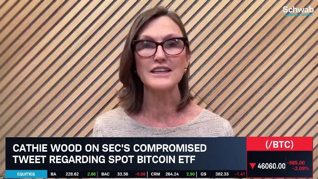 Ark Invest’s Cathie Wood On Bitcoin ETF & Crypto Investing | Schwab Network